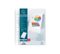 Sachet de 50 pochettes perforees polypropylene graine 5x100e - a4