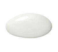 Sachet de 500 grs de Dragées CHOCOLAT - Couleur Blanc brillant