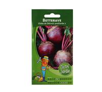 Sachet De Graines Betterave De Detroit Améliorée