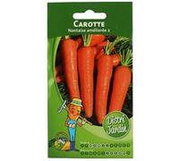 Sachet De Graines Carotte Nantaise Améliorée G