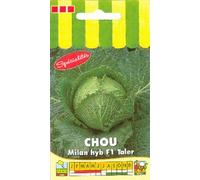 Sachet de graines Chou De Milan HYB F1 Taler - 0,50g - Les Graines Bocquet