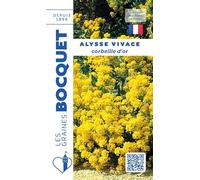 Sachet de graines de Alysse vivace corbeille d'or - 0,5 g - fleur vivace - LES GRAINES BOCQUET