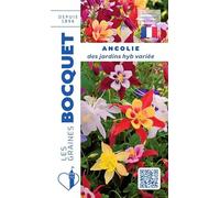 Sachet de graines de Ancolie des jardins variée - 0,4 g - fleur vivace - LES GRAINES BOCQUET