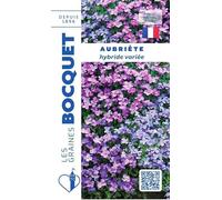 Sachet de graines de Aubriétia purpuréa hybride variée - 0,3 g - fleur vivace - LES GRAINES BOCQUET