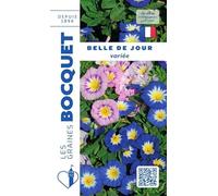 Sachet de graines de Belle de jour variée - 3 g - fleur annuelle - LES GRAINES BOCQUET