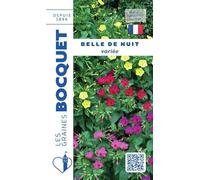Sachet de graines de Belle de nuit variée - 3 g - fleur vivace - LES GRAINES BOCQUET