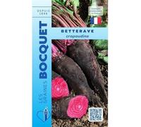Sachet de graines de Betterave crapaudine - 7 g - légume racine - LES GRAINES BOCQUET