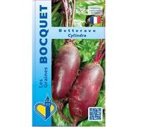 Sachet de graines de Betterave Cylindra - 6g - Les Graines Bocquet