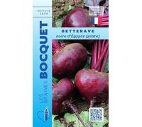 Sachet de graines de Betterave noire d'Egypte (plate) - 7 g - légume racine - LES GRAINES BOCQUET