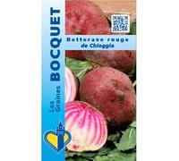 Sachet de graines de Betterave rouge Chioggia - 6 g - LES GRAINES BOCQUET