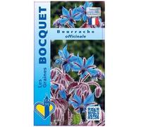Sachet de graines de Bourrache Officinale - 2 g - LES GRAINES BOCQUET