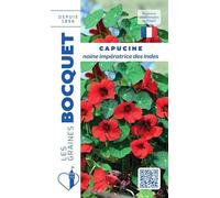 Sachet de graines de Capucine naine Impératrice des Indes - 4 g - fleur annuelle - LES GRAINES BOCQUET
