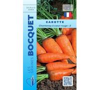 Sachet de graines de Carotte Chantenay à cœur rouge-3-7 g - légume racine - LES GRAINES BOCQUET