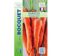 Sachet de graines de Carotte géante de Tilques - 2 g - légume racine - LES GRAINES BOCQUET