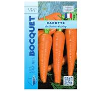 Sachet de graines de Carotte longue de Saint Valéry - 7 g - légume racine - LES GRAINES BOCQUET