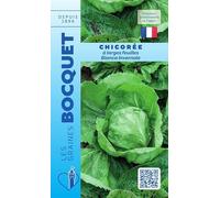 Sachet de graines de Chicorée à large feuille Bianca Invernale - 3 g - légume feuille - LES GRAINES BOCQUET