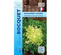 Sachet de graines de Chicorée frisée de Ruffec (à grosses côtes) - 4 g - légume feuille - LES GRAINES BOCQUET