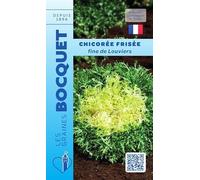 Sachet de graines de Chicorée frisée fine de Louviers - 4 g - légume feuille - LES GRAINES BOCQUET