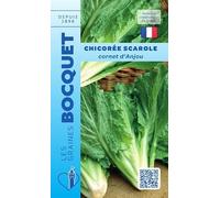 Sachet de graines de Chicorée scarole cornet d'Anjou - 4 g - légume feuille - LES GRAINES BOCQUET