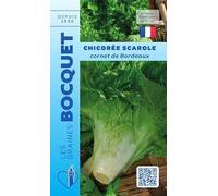 Sachet de graines de Chicorée scarole cornet de Bordeaux - 4 g - légume feuille - LES GRAINES BOCQUET