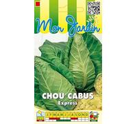 Sachet de graines de Chou cabus Express (pointu) - 3 g - légume feuille - LES GRAINES BOCQUET