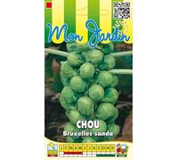 Sachet de graines de Chou de Bruxelles Sanda - 3 g - légume feuille - LES GRAINES BOCQUET