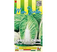 Sachet de graines de Chou de Chine Michihili ou Granaat - 3 g - LES GRAINES BOCQUET
