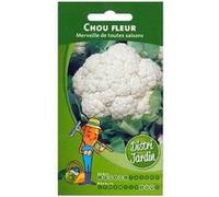 Sachet de graines de chou fleur