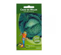 Sachet De Graines De Chou Fleur De Milan