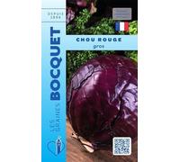 Sachet de graines de Chou rouge gros - 3 g - légume feuille - LES GRAINES BOCQUET