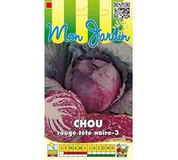 Sachet de graines de Chou rouge tête noire-3-3 g - légume feuille - LES GRAINES BOCQUET