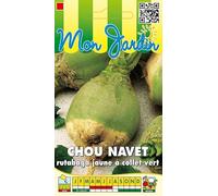Sachet de graines de Chou rutabaga jaune à collet vert - 10 g - légume racine - LES GRAINES BOCQUET