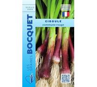 Sachet de graines de Ciboule commune rouge - 1 g - légume feuille - LES GRAINES BOCQUET