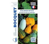 Sachet de graines de Coloquinte à petits fruits en mélange - 3 g - fleur annuelle - LES GRAINES BOCQUET