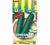 Sachet de graines de Concombre HYB F1 DASHER - 1 g - légume fruit - LES GRAINES BOCQUET