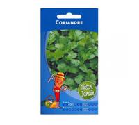 Sachet De Graines De Coriandre Herbes Aromatiques