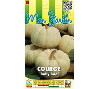 Sachet de graines de Courge Baby Boo - 3 g - légume fruit - LES GRAINES BOCQUET