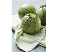 Sachet de graines de Courge Géode Hyb F1-2 g - légume fruit - LES GRAINES BOCQUET