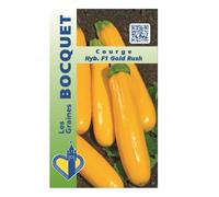 Sachet de graines de Courge HYB F1 Gold Rush - 2 g - légume fruit - LES GRAINES BOCQUET