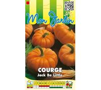 Sachet de graines de Courge Jack Be Little - 3 g - légume fruit - LES GRAINES BOCQUET