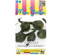 Sachet de graines de Courge Matraque Marenka - 3 g - légume décoratif - LES GRAINES BOCQUET