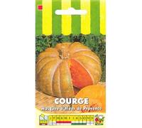 Sachet de graines de Courge Musquée de Provence - 3 g - légume fruit - LES GRAINES BOCQUET