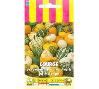 Sachet de graines de Courge ornementale à gros fruits en mélange - 3 g - légume décoratif - LES GRAINES BOCQUET