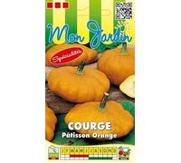 Sachet de graines de Courge Pâtisson orange - 3 g - légume fruit - LES GRAINES BOCQUET