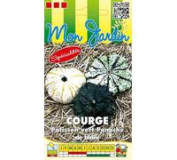 Sachet de graines de Courge Pâtisson vert panaché de blanc - 3 g - légume fruit - LES GRAINES BOCQUET