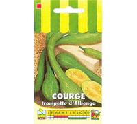 Sachet de graines de Courge Tromba d'Albenga - 3 g - légume fruit - LES GRAINES BOCQUET