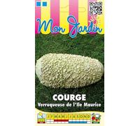Sachet de graines de Courge Verruqueuse de l'Ile Maurice - 3 g - légume décoratif - LES GRAINES BOCQUET