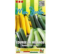 Sachet de graines de Courges en mélange (Ratatouille d'été) - 2 g - légume fruit - LES GRAINES BOCQUET