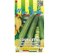 Sachet de graines de Courgette verte non coureuse d'Italie - 5 g - légume fruit - LES GRAINES BOCQUET