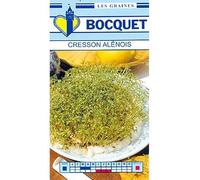 Sachet de graines de Cresson Alénois Commun - 3 g - légume feuille - LES GRAINES BOCQUET